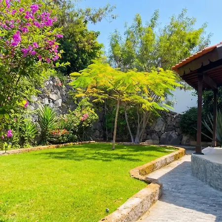 Tequila Villa